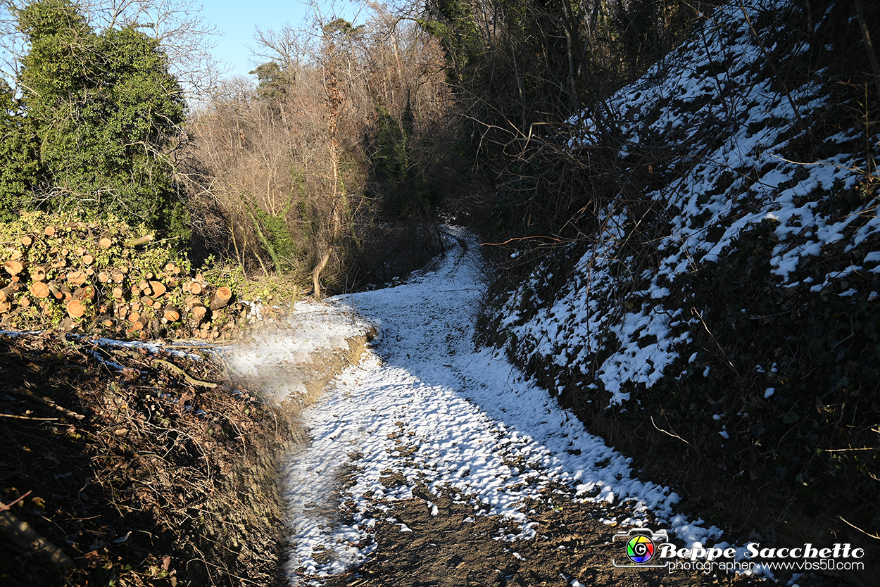 VBS_0880 - Corneliano d'Alba.jpg
